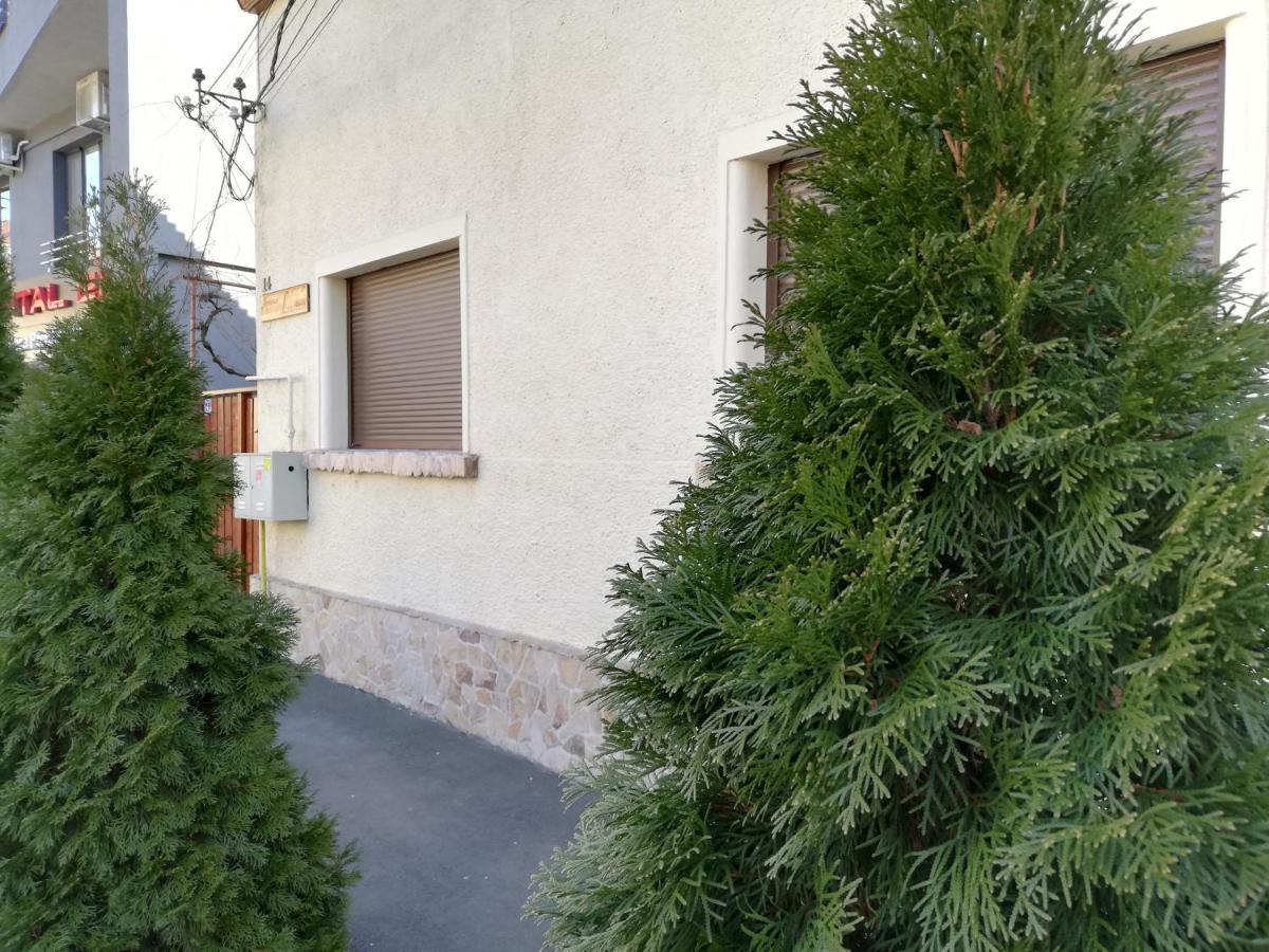 Arthouse Lucrezia Hotel Temesvár Kültér fotó