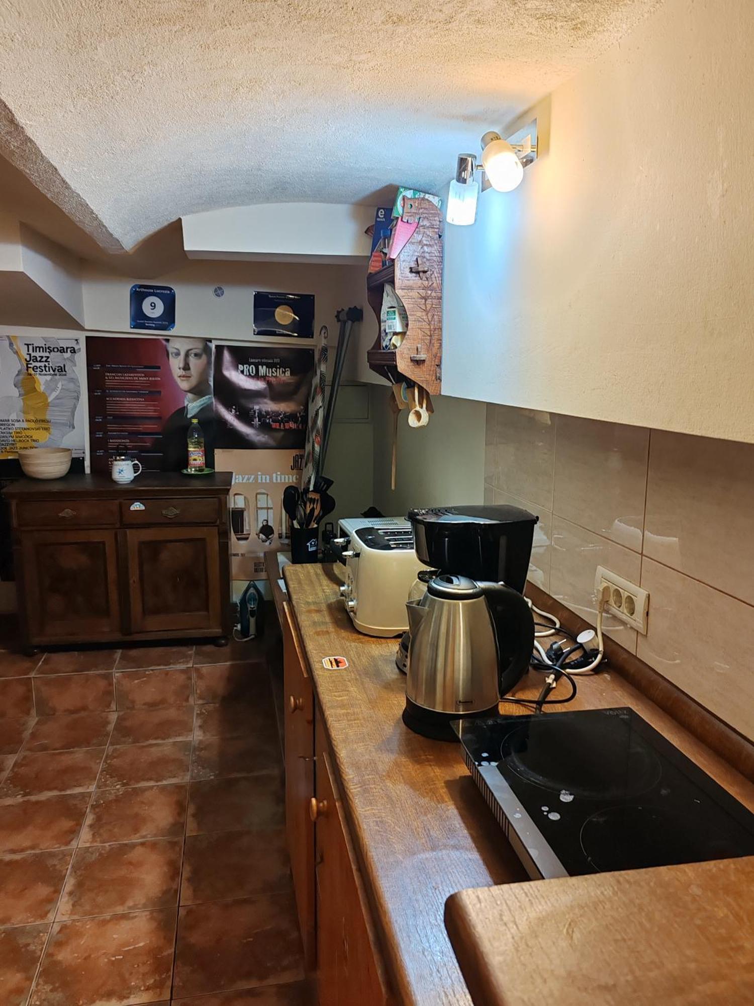 Arthouse Lucrezia Hotel Temesvár Kültér fotó