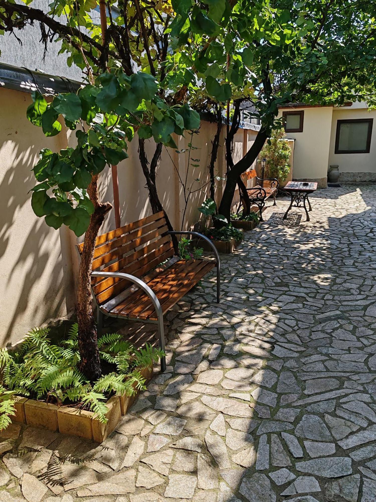 Arthouse Lucrezia Hotel Temesvár Kültér fotó