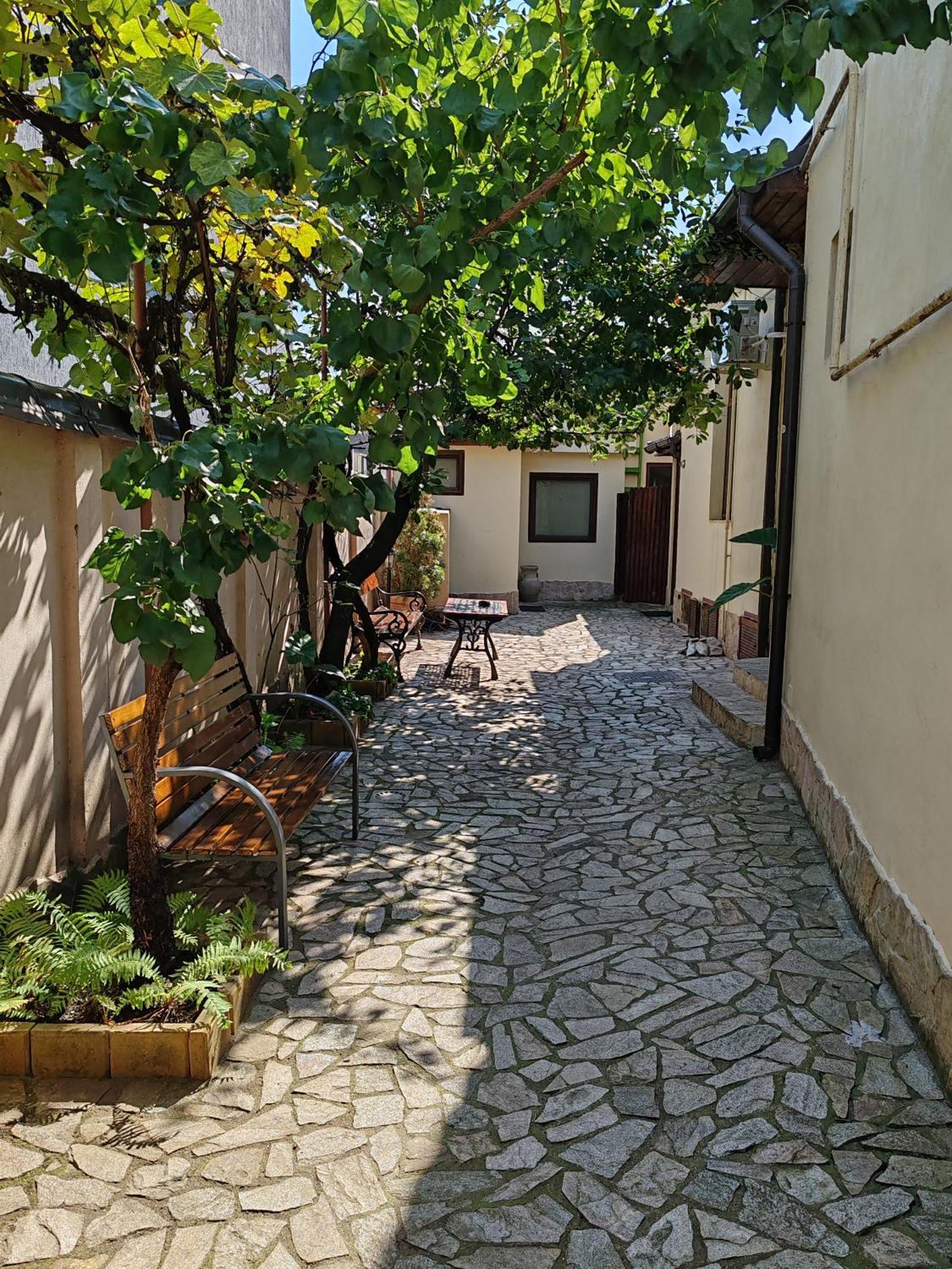 Arthouse Lucrezia Hotel Temesvár Kültér fotó